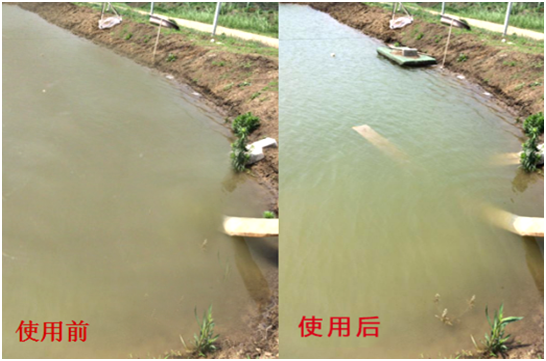 渾濁水、對(duì)蝦吃料差怎么處理？